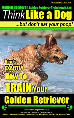 Golden Retriever, Golden Retriever Training, AAA AKC: Think Like a