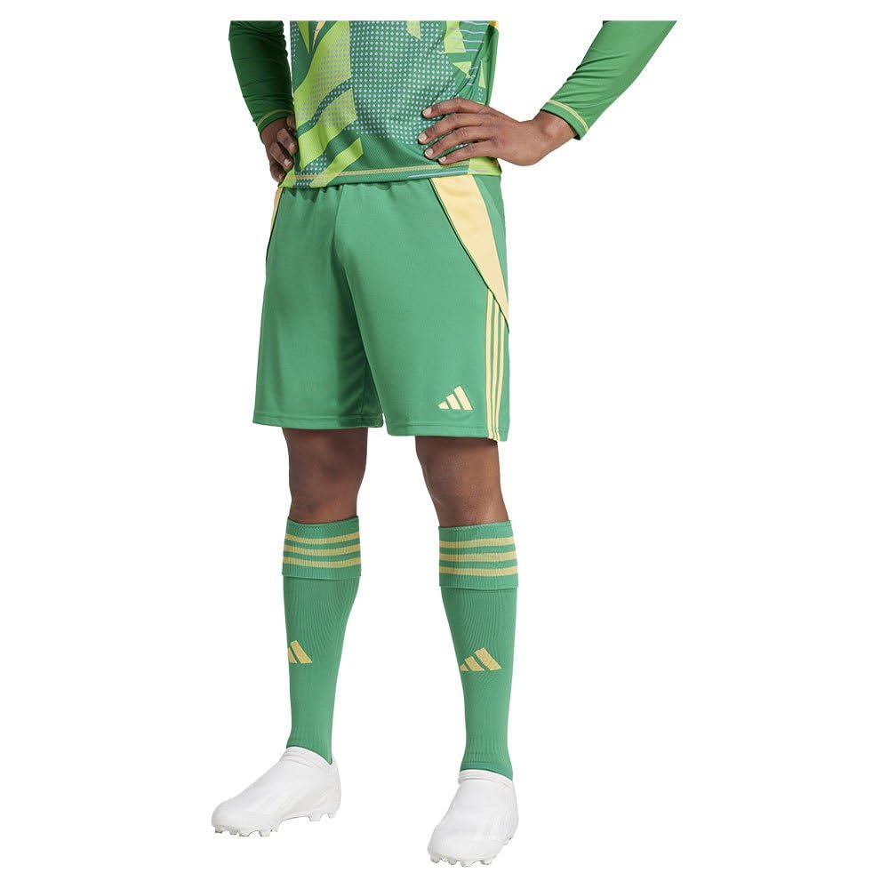 adidas Tiro24 Shorts M Green