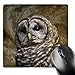 Price comparison product image 3dRose mp_53848_1 8 x 8 Barn Owl fine Art Image - Home décor Mouse Pad