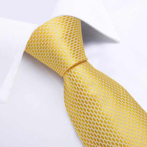 Image of DiBanGu Extra Long Tie for Men 63 inch XL Silk Necktie Set | Pocket Square and Cufflinks, Big and Tall, Jacquard Woven, Gift Box, Paisley /Plaid /Solid /Striped, for Weddinng Party Business