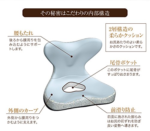 Amazon.co.jp: PROIDEA プロイデア 馬具マットプレミアムEX : ホーム 