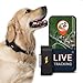 PAJ GPS Tracker für Hunde - 4G - Weglaufalarme + weltweite Live-Ortung - bis zu 10 Tage Akkusparmodus - Hunderückruf - mit Leucht-LEDs - Wasserdicht (IP67) - passt an jedes Halsband - schwarz
