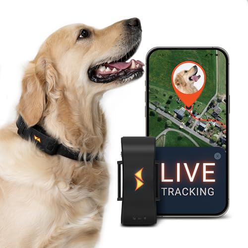 PAJ Localizador GPS para Perros 4G - alarmas de Fuga + Seguimiento en Vivo - hasta 10 días en Modo Ahorro de batería - LED Luminoso - Resistente al Agua (IP67) - Apto para Cualquier Collar - Negro
