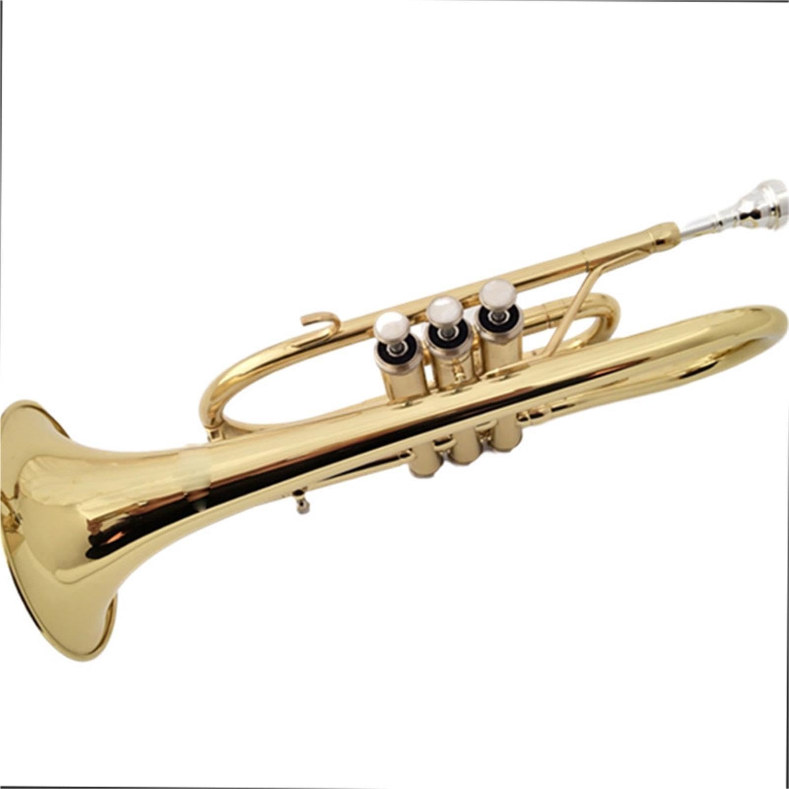 Professional Trumpet Trompeta en si bemol para principiantes