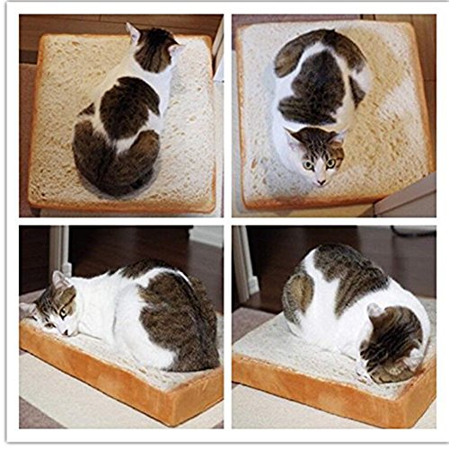 Fixwhat Creative Toast Bread Pet Cat Bed Mattress Soft Cushion Seat Pad For Cats & Dogs Sleeping Playing Resting (15.7''X15.7''X2.6'') #TOP1