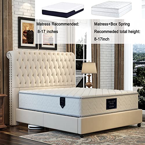 Jocisland Platform Bed Frame Upholstered Bed Sleigh Headboard Velvet Tufted Diamond Button/No Box Spring Needed/Easy Assembly (Cream, King) #TOP5