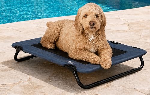 Pet Gear Lifestyle Pet Cot Elevated Bed 30 Inch Caribbean Ocean