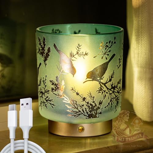 Cordless Rechargeable Table Lamp, Glass USB-C Decorative Small Accent Lamps