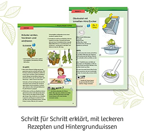 KOSMOS 632090 - Kräuter-Garten, Züchte duftende Kräuter auf der Fensterbank, Mit Gewächshaus und Mörser aus Porzellan, Experimentierkasten für Kinder ab 6 Jahre