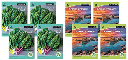 Image of Classmate Notebook - Single Line, 140 Pages, 240 mm x 180 mm - Pack Of 4 & Classmate Notebook - Single Line, 120 Pages, 240 mm x 180 mm - Pack Of 4