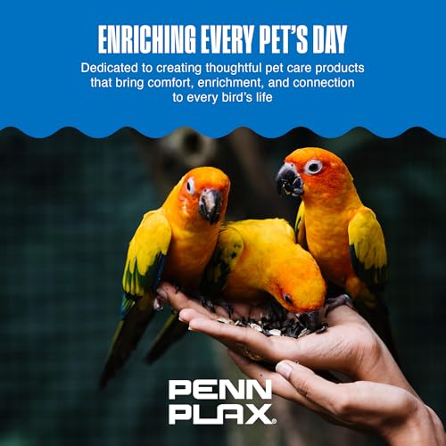 Image of Penn-Plax Bird-Life E-Cuttlebone Flavored, 1 Pack (2 Counts) - Mango & Banana - Durable, Less Brittle Cuttlebones Enriched with Omega 3 & Vitamin B1 - Cage Clip - for All Bird Sizes - Mango & Banana