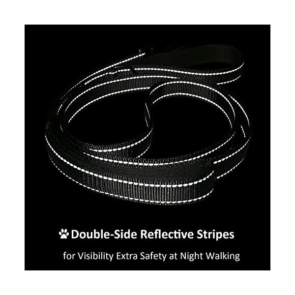 DDSCOLOUR 3M Reflective Dog Leash 5ft 6ft Long-Traffic Padded Two Handle, Heavy Duty Reflective Safety Training Leash, Perfect for Large or Medium Dog, Dual Handles Dog Leash,Black DDSCOLOUR 3M Reflective Dog Leash 5ft 6ft Long-Traffic Padded Two Handle, Heavy Duty Reflective Safety Training Leash, Perfect for Large or Medium Dog, Dual Handles Dog Leash,Black