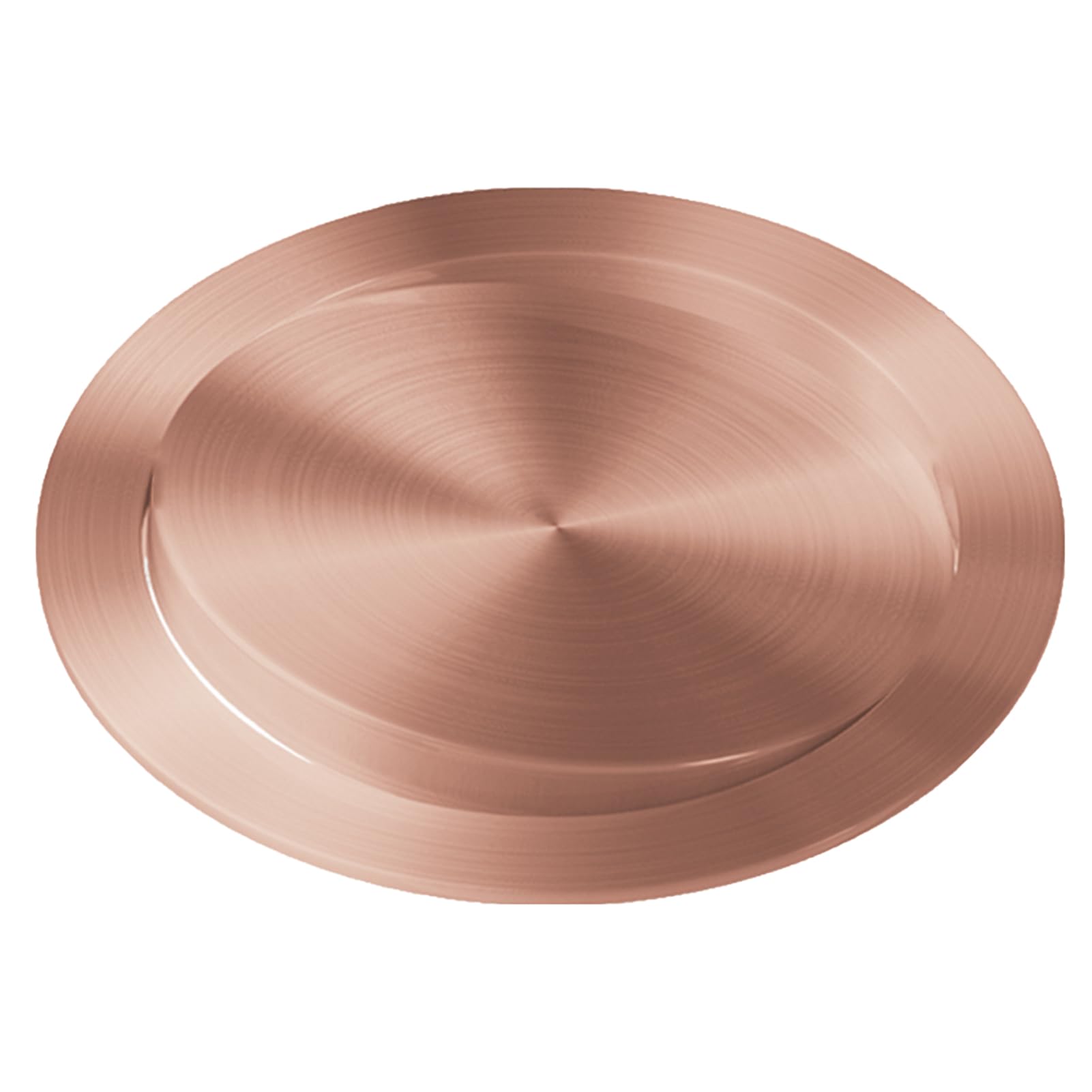 DFGHNBVC Stainless Steel Swing Trash Flap Lid, Hidden Flush Garbage Cover, Round Built In Trash Chute Cover, Balance Waste Recessed Counter Top Can Lid,Yxg98T2049-Gold-252Mm,Bronze-228Mm