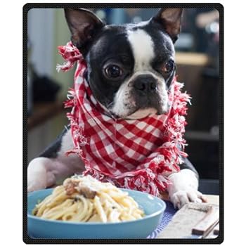 boston terrier blanket walmart