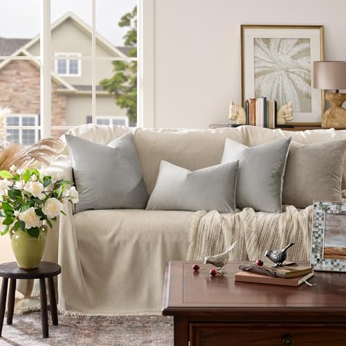 Image of GIGIZAZA Decorative Couch Throw Pillow Covers,Grey Square Pillow Cushion Covers 22x22,Pillow Cases Velvet Pillow Covers