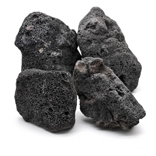 BUDDYTRIO 4–8 Inches Natural Black Lava Rocks, 4 PCS Medium Aquarium Stones for Aquascaping, Fish Tank Hardscape, Planted Tanks, Terrariums & Reptile Decor (Medium 4–8 in)