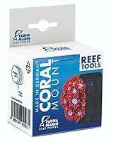 Fauna Marin Coral Mount