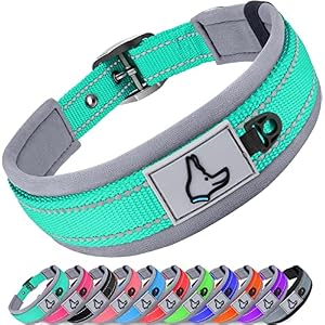 Joytale Dog Collar for Large Dogs, Neoprene Padded and Adjustable, Reflective Wide Heavy Duty Pet Collars with Durable Metal Belt Buckle for Walking, Teal, L
