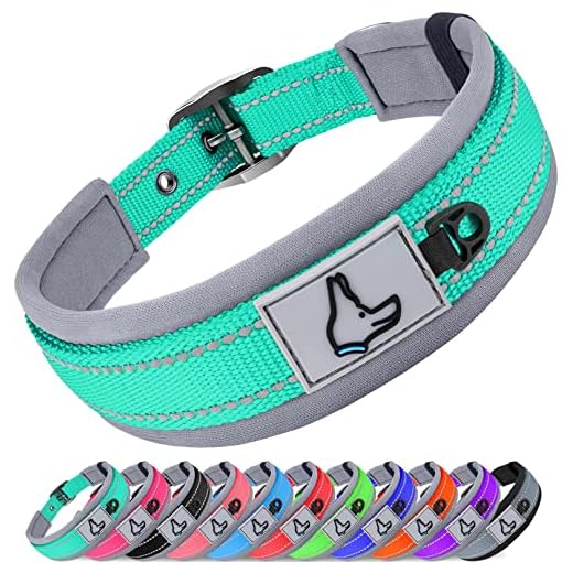 Joytale Neoprene Padded Dog Collars for Medium Dogs, 11 Colors, Reflective Wide Pet Collars with Durable Metal Belt Buckle, Adjustable Heavy Duty Nylon Dog Collar, Teal