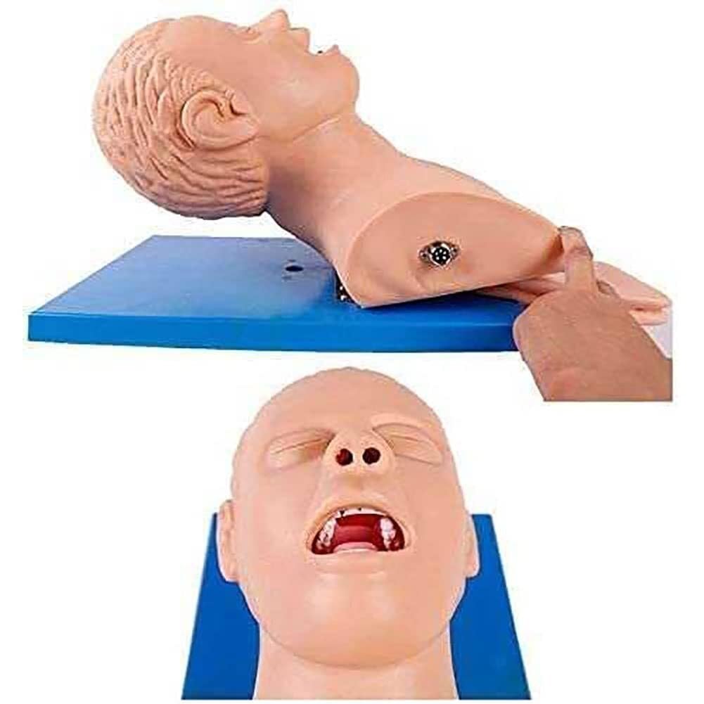 Modelo de intubación para adultos, simulador de intubación traqueal, PVC para adultos, modelo de instrucción de maniquí, entrenador de gestión de la vía aérea, intubación traqueal, simulador de