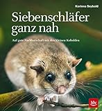 Gräfe und Unzer