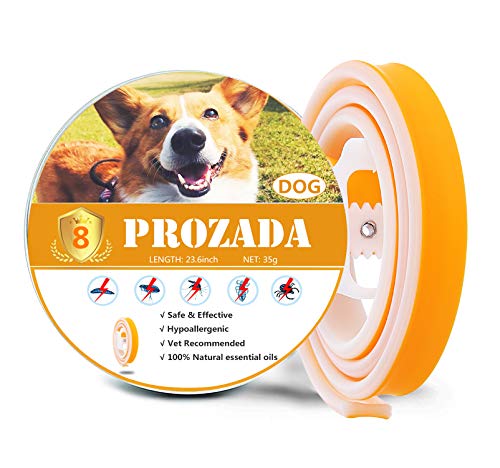 Collare Antipulci Per Cani Wansiven - Protezione 12 Mesi, Regolabile - Foto 14