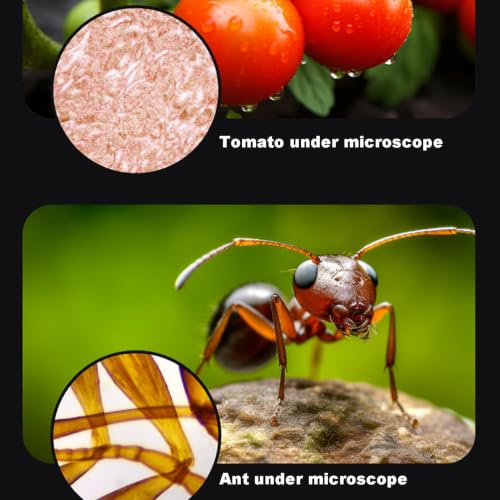 Kids Microscope 60X‑120X, przenośna zabawka naukowa, Edukacyjny STEM L