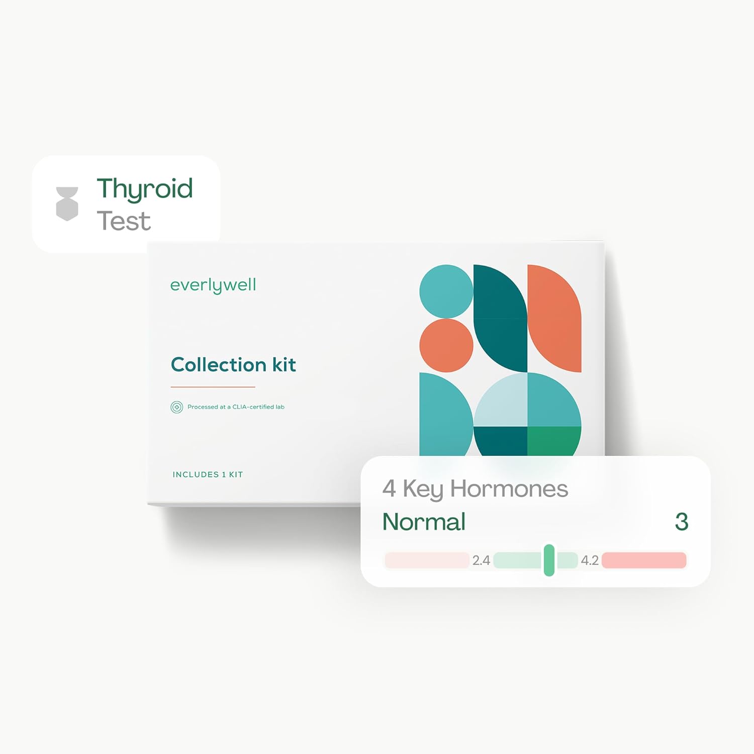 Everlywell at-Home Thyroid Test Collection Kit for Women and Men, Get Accurate Results at Home from a CLIA-Certified Lab Within Days, for Ages 18 Plus - Image 2