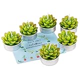 COCOMOON Cactus Candles, Handmade Delicate Succulent Cactus Candles Perfect Cactus Tealight Candles for Birthday Party,Wedding, Spa, Home Decor Birthday Wedding Party（ 6 Pcs）