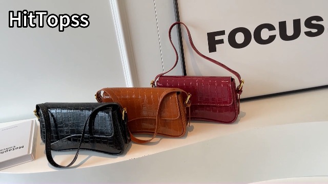 2025 Small Shoulder Bag Y2K Purse for Women, Crocodile Clutch