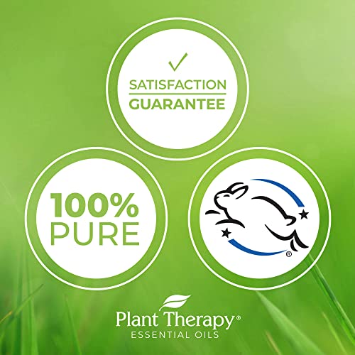 Plant Therapy Lime In The Coconut Essential Oil Blend 10 Ml (1/3 Oz) For Aromatic Diffusion For Your Home, Car Or Office, 100% Pure, Undiluted, Therapeutic Grade #TOP4