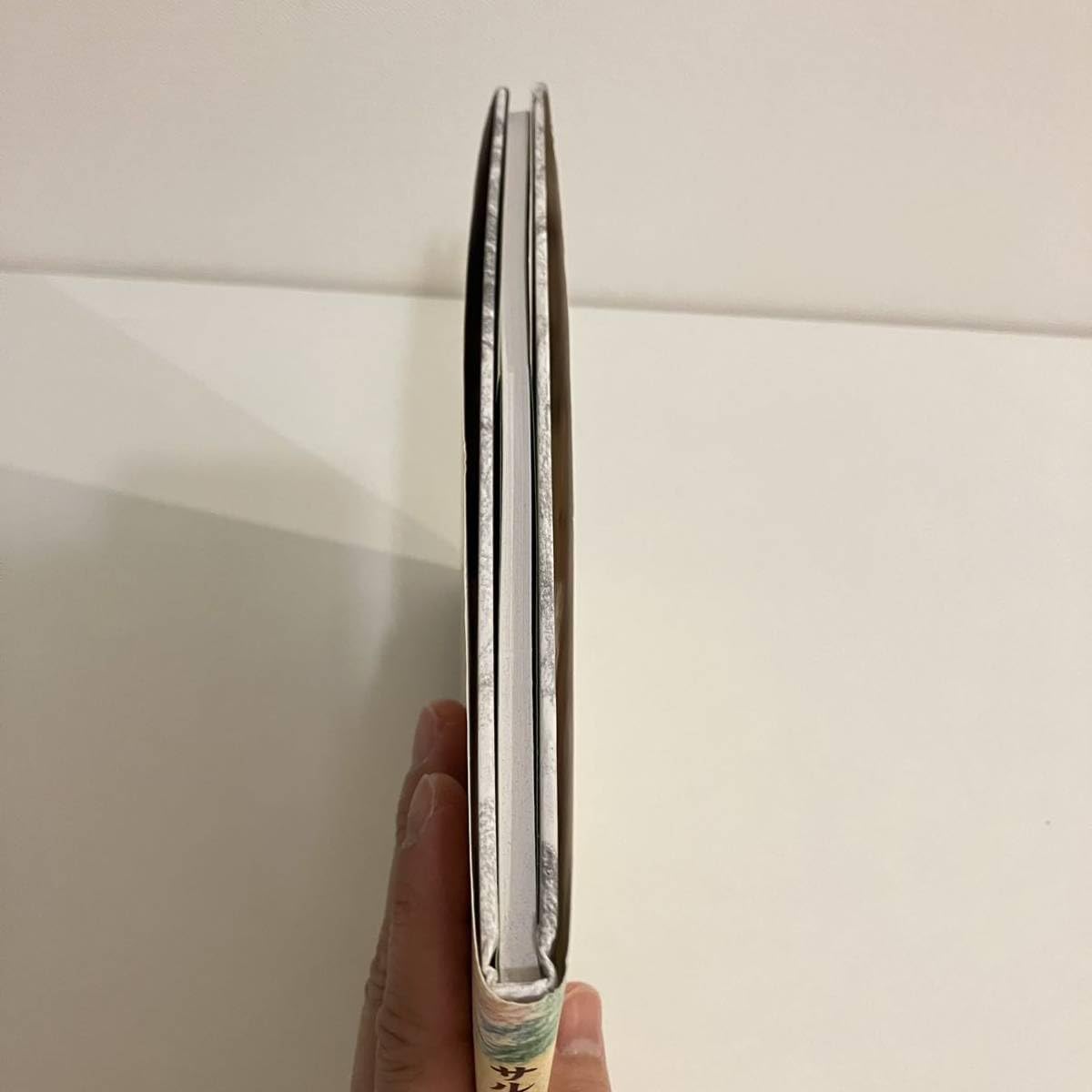 サルと人と森 サルと人と森 | 著・石川啄木 訳・山本玲子 絵・鷲見春佳 |本