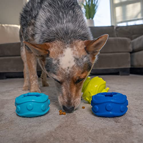 Outward Hound Disco de bloqueio de petiscos para cães brinquedo quebra-cabeça