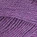 Knit Picks Wool of The Andes Yarn Pack - 10 Skeins of Purple 100% Wool Worsted Weight Yarn (Amethyst Heather)