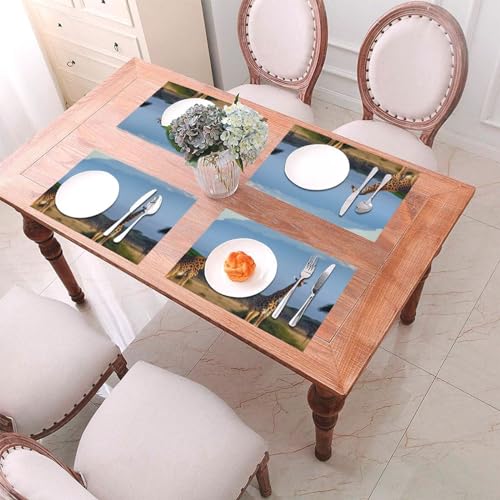 Set de table en PVC motif girafe lavable 30x45 cm résistant