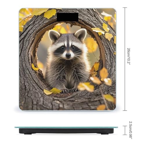 Báscula digital de baño con vidrio templado y pantalla LCD miniatura 2