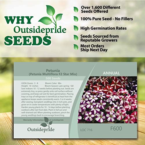 Outsidepride Petunia Multiflora Star Indoor House Plants Or Outdoor Container, Basket, Or Pot Flowers - 500 Seeds #TOP4