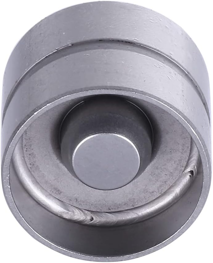 ROADFAR 16 Pack Hydraulic Valve Adjuster Valve Lifter Fit For Ford For Kia For Mazda For Mercury Replaces 85005200 LIF425 LIFMA13 LF6007 LIFMA13 17120070 HT-2270 213-1756 HL118