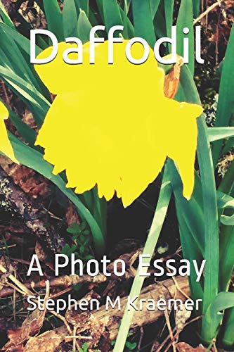 Daffodil: A Photo Essay