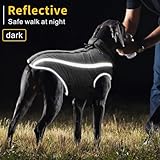 Idepet Wasserdichter Hundemantel Winter Warme Jacke, Winddichte Haustierkleidung Hundejacke Outfit für kleine mittelgroße Hunde mit Geschirrloch XL-6XL