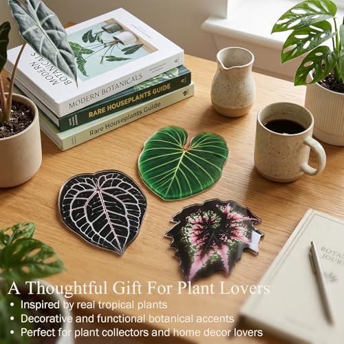 Set de 3 Imanes Decorativos en Forma de Hoja miniatura 6