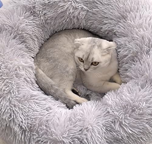 Fhodigogo Hundebett Katzenbett Waschbar Donut Hundebett Weiches Plüsch Rundes Hundesofa mit Wasserfeste Unterseite Katzenbett für innerhalb Katzen und Hunde bis 3 kg(S/35X12CM)