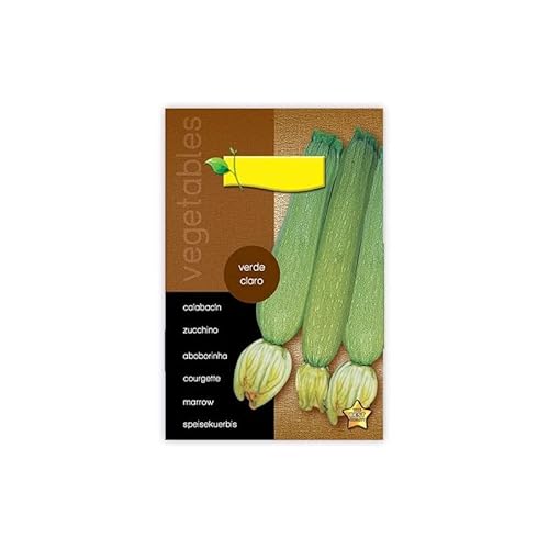 Semillas Calabacín Genovés o Italiano Verdura Muy Saludable y Fácil de Cultivar