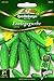Produktbild Gurken Einlege- Conny - Cucumis sativus L. QLB Premium Saatgut Gurken