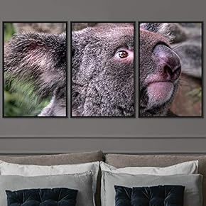 signwin 3 Piece Framed Canvas Wall Art Cuddle...