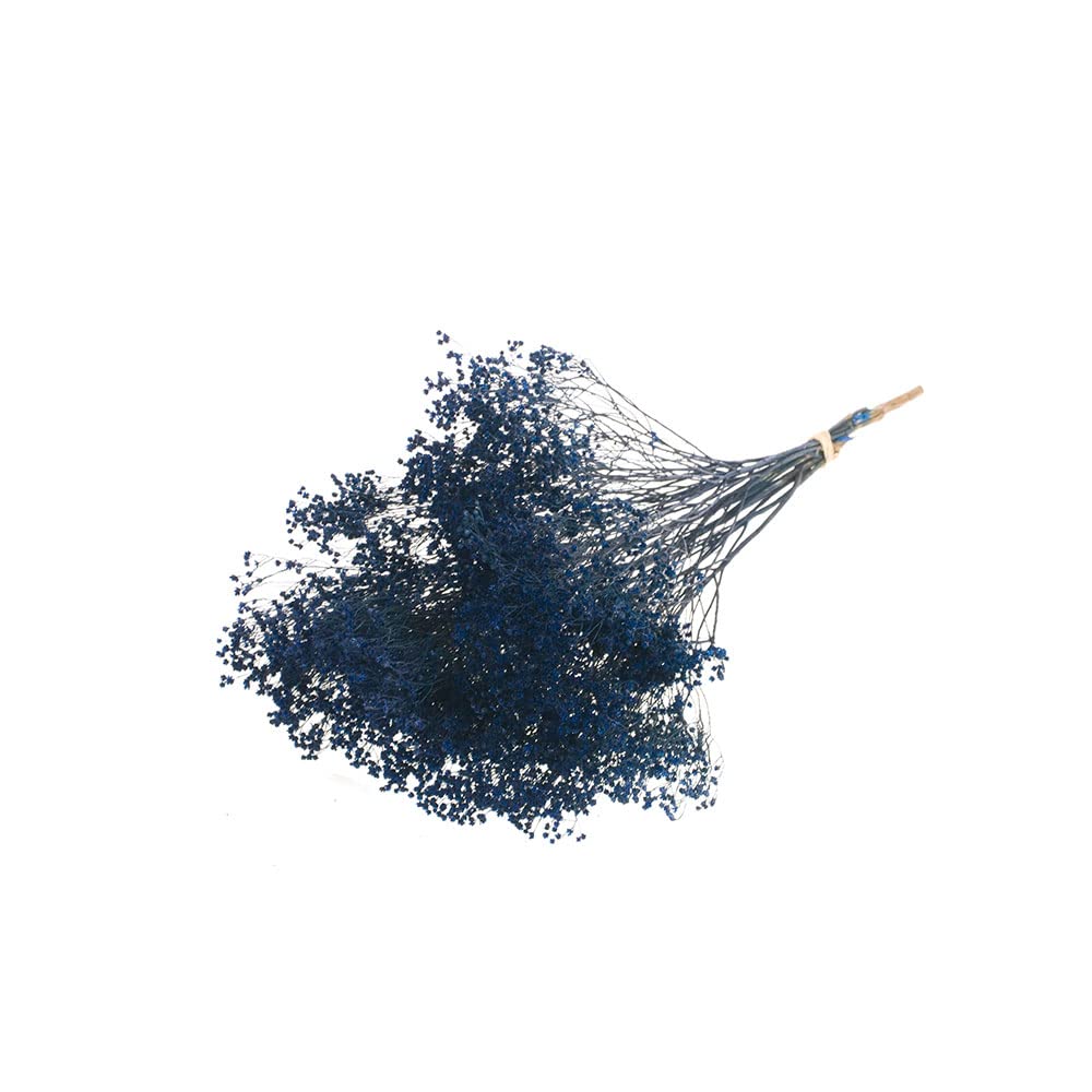 FloristryWarehouse Dyed Bunch of Dried Broom Bloom 40cm/15 Inches Dark Blue