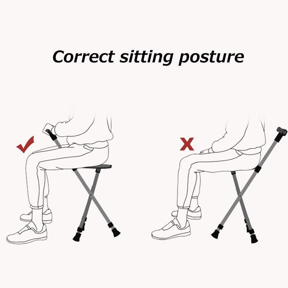 MRKU Bastón para Caminar con Asiento Plegable, Acero Inoxidable Antideslizante para ayudas para Caminar, bastón para Mujeres Mayores discapacitadas, Hermoso Paisaje