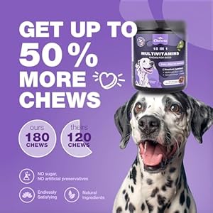 Dog-Vitamins-15-in-1-Dog-Multivitamin-Chews-with-MSM-for-Hip-Joint-Health-Dog-Supplement-for-Itchy-Skin-Relief-Multivitamin-for-Dogs-Immune-Support-with-Enzymes-Skin-Coat-Mobility-Support - Cucciolini Doodles   Dog-Vitamins-15-in-1-Dog-Multivitamin-Chews-with-MSM-for-Hip-Joint-Health-Dog-Supplement-for-Itchy-Skin-Relief-Multivitamin-for-Dogs-Immune-Support-with-Enzymes-Skin-Coat-Mobility-Support