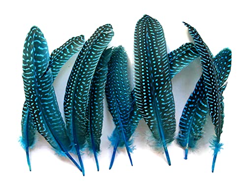 10 Pieces - Dyed Turquoise Blue Polka Dot Guinea Fowl Wing Quill Feathers Halloween Costume Craft Supply | Moonlight Feather #TOP1