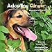 Adopting Ginger